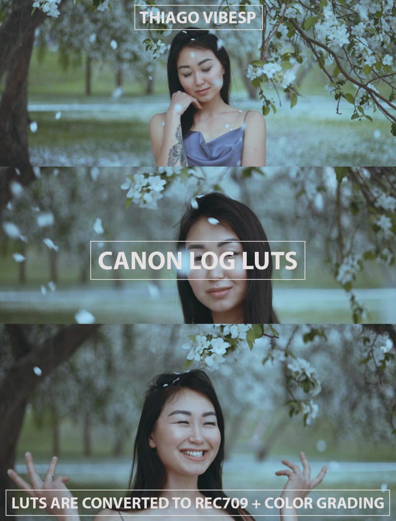 Canon C-LOG3 LUTs Bundle: Anleitung für das kinoreife Color Grading ...