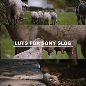 Sony Camera S-Log LUTs | Compatible with DaVinci Resolve, Premiere Pro, Final Cut Pro | Achieve Stunning Color Grading Results