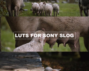 Sony camera S-Log LUT&#39;s | Compatibel met DaVinci Resolve, Premiere Pro, Final Cut Pro | Verkrijg verbluffende kleurgradatieresultaten