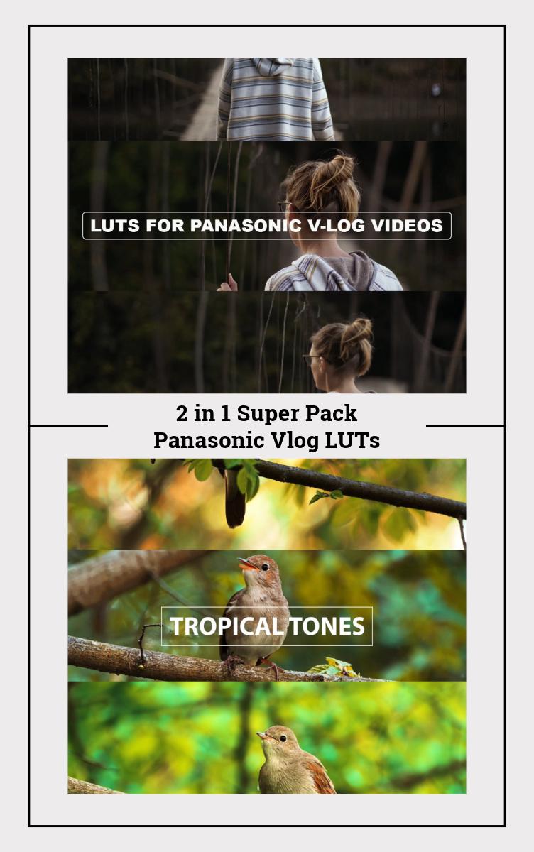 Cinematic LUTs for Panasonic V-Log: LUTs Pack (Digital Download)