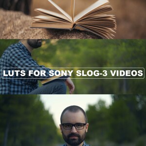 Sony S-Log LUTs for DaVinci Resolve, Premiere Pro, Final Cut Pro | Transform Your Footage with Cinematic Color Grading Presets