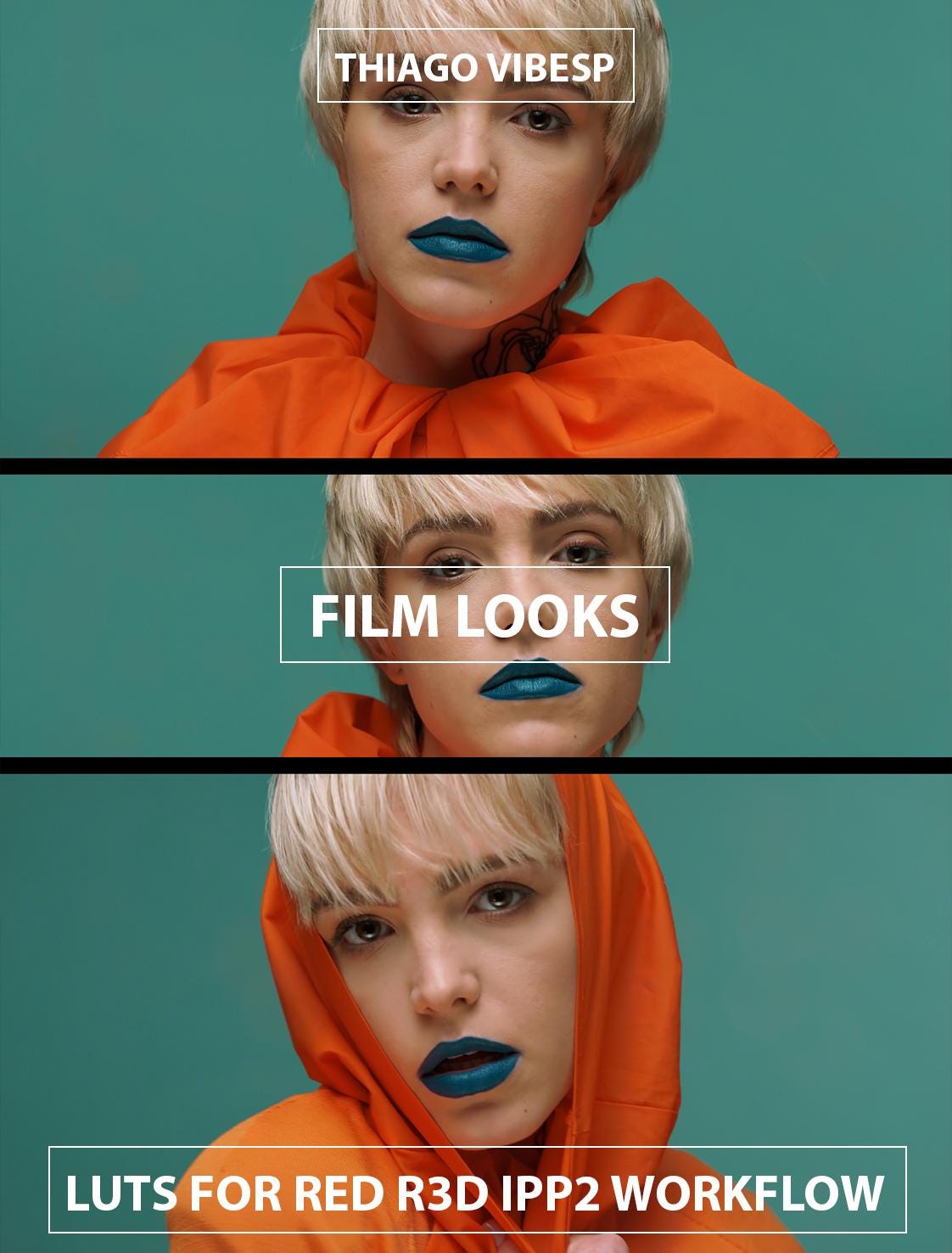Filmische LUTs für RED-Kameras | Adobe Premiere | Verbessere deine Aufnahmen mit den Presets für das Color Grading in Filmqualität