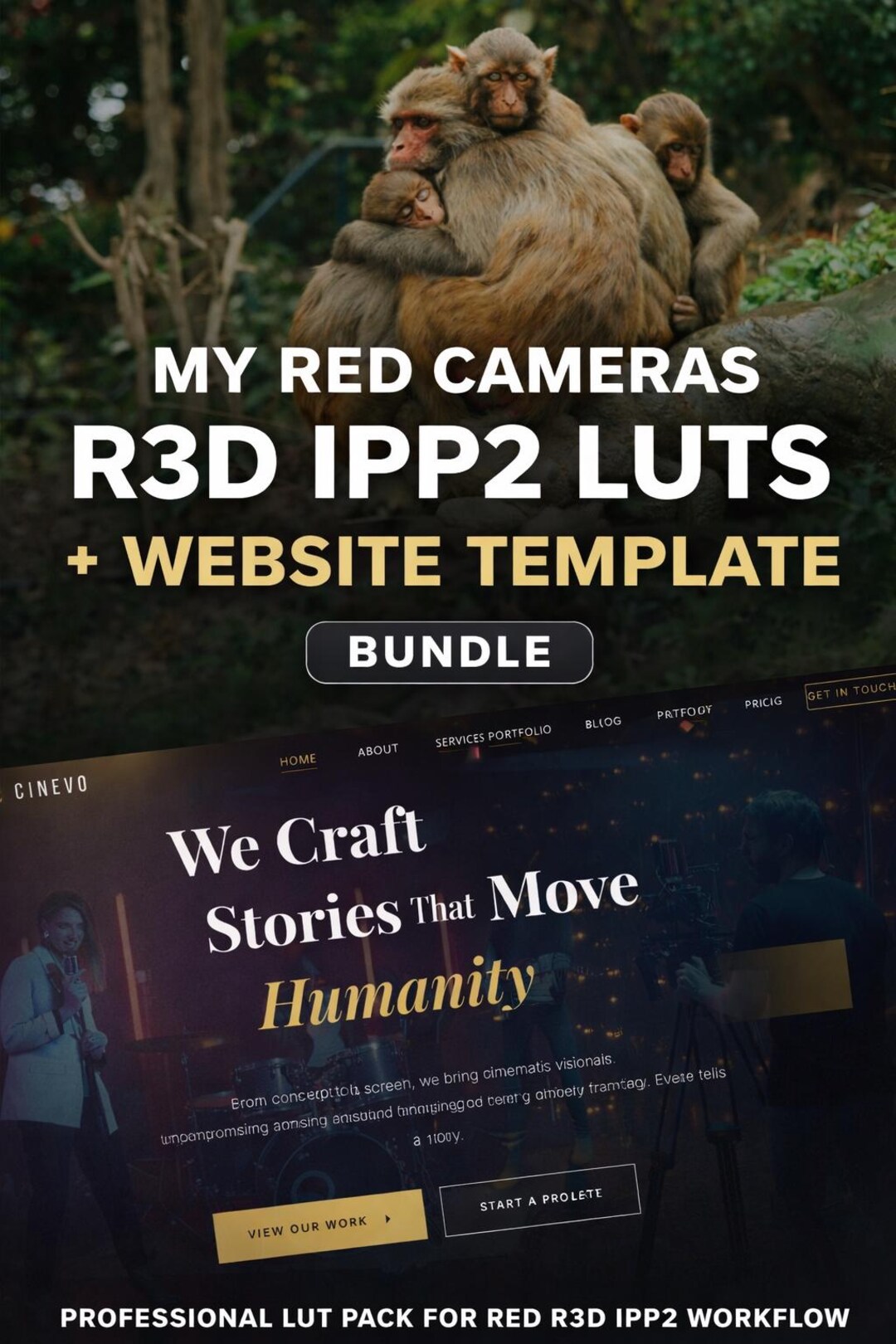 Red Luts Sample Color RED Camera Luts Pack | Cinematic Color Grading Presets, Filmmaker ...