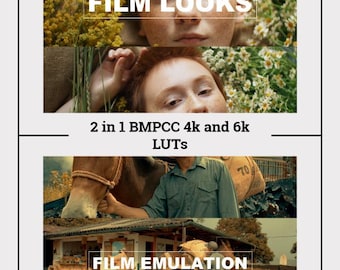 BMPCC Cinematic LUTs: Film Looks for 4K & 6K (Digital Download)