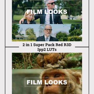 Op de afbeelding: Een collage van afbeeldingen die het merk "FILM LOOKS" presenteren. De bovenste afbeelding toont twee mensen op een begraafplaats. De middelste afbeelding toont een man met een bril. De onderste afbeelding toont een aap in een jungle-omgeving. De tekst "2 in 1 Super Pack Red R3D Ippp2 LUTs" wordt in het midden van de collage weergegeven.