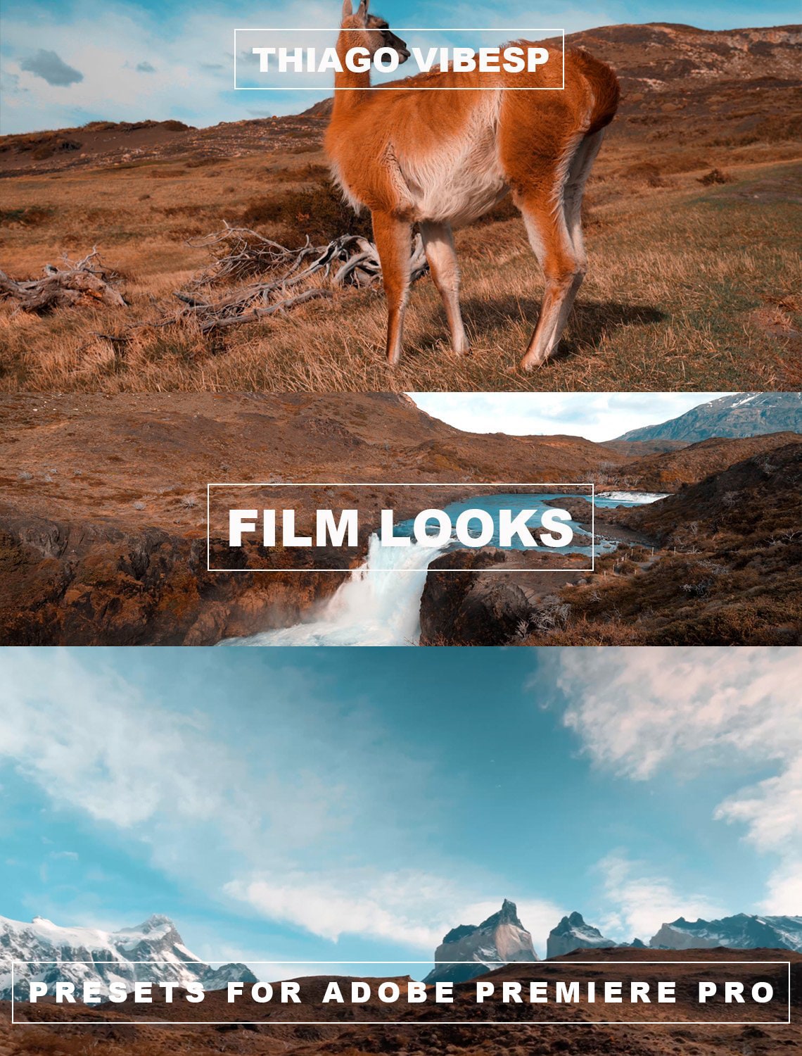 Cinematic S-Log LUTs: Sony Cameras, Adobe Premiere Pro Presets