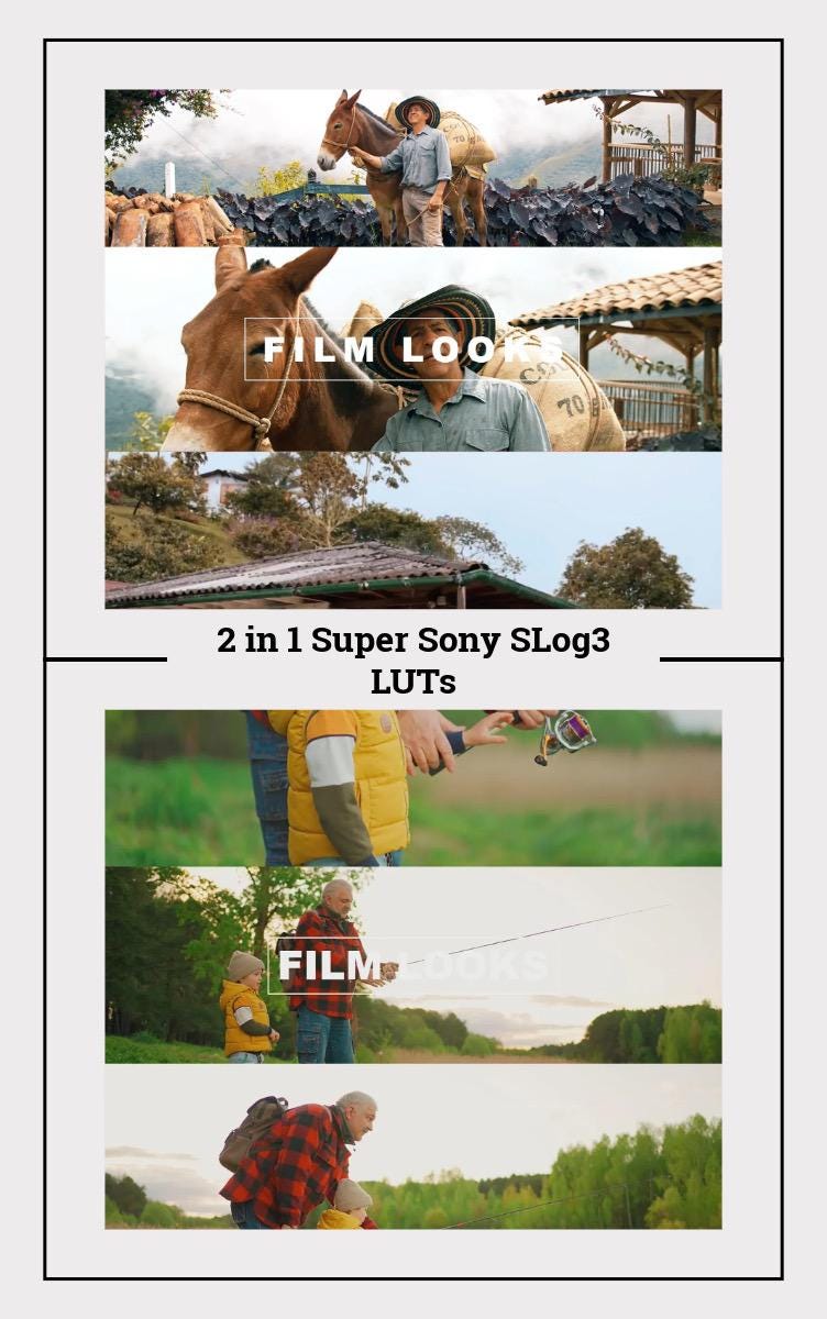 Cinematic Sony SLog3 LUTs – 9 Presets for A7S III, FX3, FX30