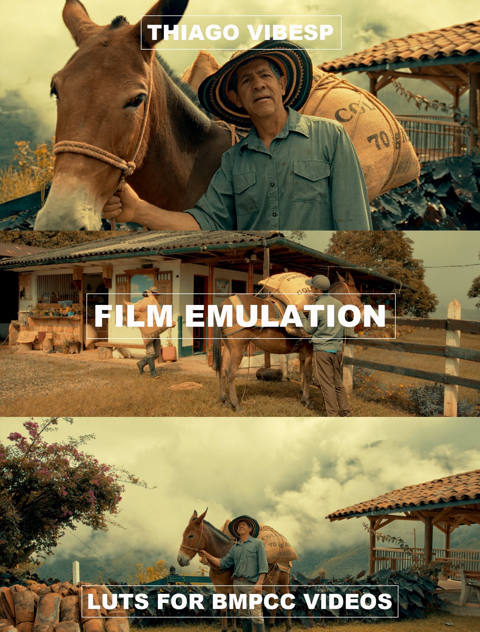 BMPCC 4K/6K Cinematic Film Look LUTs | Color Grading Presets | DaVinci Resolve, Premiere Pro, Final Cut Pro