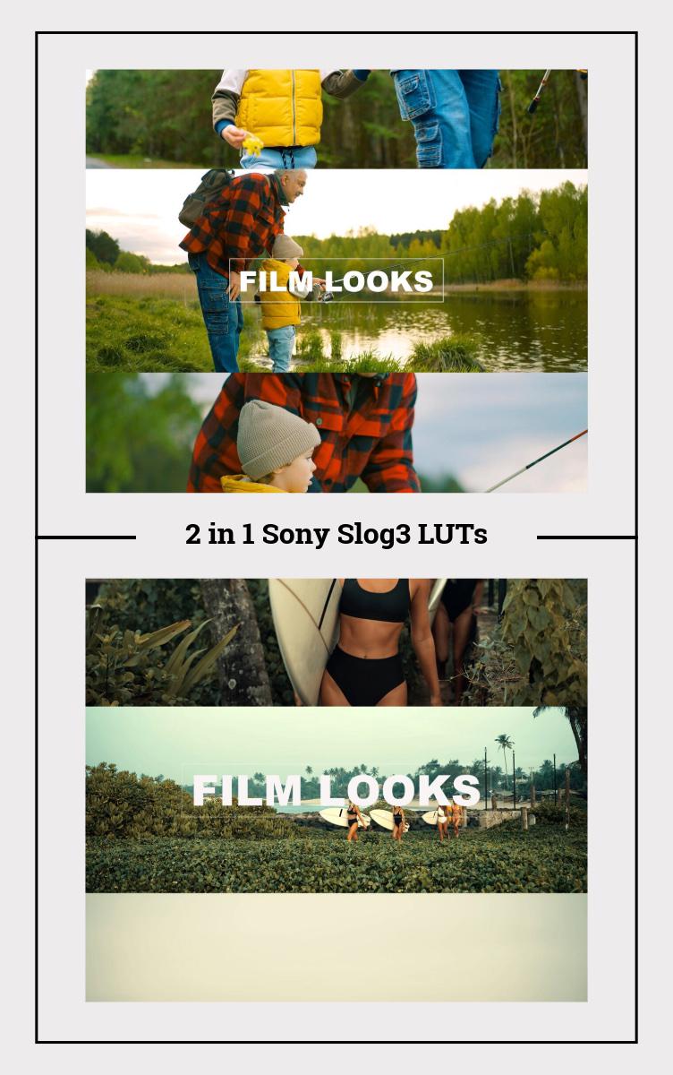 Sony 2-in-1 SLog3 LUTs Pack | 10 Cinematic Color Grading LUTs for Professional Video Editing
