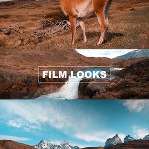 Sony Camera S-Log LUTs for Color Grading | DaVinci Resolve, Premiere Pro, Final Cut Pro | Achieve Film-Quality Results