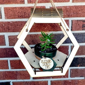 Op de afbeelding: Een zeshoekige houten hangende plantenhanger met een kleine groene succulent in een groene pot. De hanger heeft een houten bordje met de tekst "Alstublieft, sterf niet".