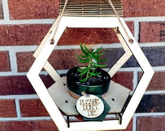 Laser Cut Living Hinge Hexagon Potted Plant Hanger - air plant holder - File Only!