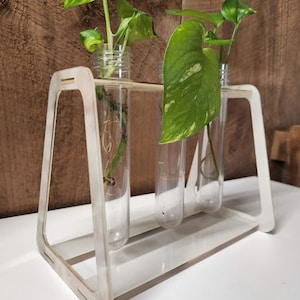 May include: A white wooden plant stand with three clear glass test tubes holding small potted plants. The plants have green leaves with white variegation.