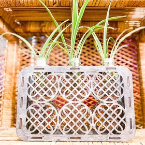 Op de afbeelding: Een houten plantenbak met een geometrisch ontwerp bevat drie glazen vazen met groene planten. De plantenbak staat op een geweven rieten oppervlak.