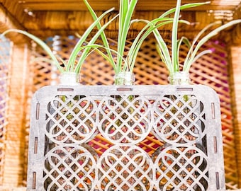 Laser Cut 3 tube Geometric Celtic Knot Plant Propagation station - bud vase - air plant holder - File Only!!!