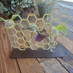 Op de afbeelding: Een gouden plantenstandaard in de vorm van een honingraat met drie glazen reageerbuizen met kleine planten. De standaard is gemaakt van hout en heeft een donkerbruine basis.