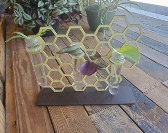 Laser Cut bee hive honeycomb  Propagation Station - free standing desktop - bud vase  - air plant holder - File only!