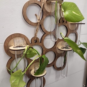 Laser Cut Circle Pattern 5 Tube Plant Propagation Station / air plant holder - air plant holder - File Only!