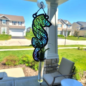 Op de afbeelding: Een kleurrijk, iriserend glazen terrarium in de vorm van een zeepaardje met een kleine plant die erin groeit. Het terrarium hangt aan een zuignap aan een raam.