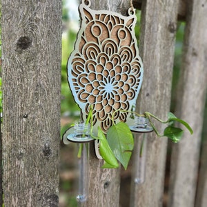 Op de afbeelding: Een houten uilvormige plantenbak met een mandala-ontwerp. Twee heldere glazen reageerbuizen zijn in het lichaam van de uil gestoken, elk met een kleine groene plant.