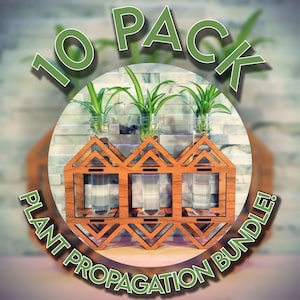 Op de afbeelding: Een houten plantenpropagatiestation met 10 glazen reageerbuizen. Het station is ontworpen om stekken in water te houden voor het wortelen. De tekst "10 PACK PLANT PROPAGATION BUNDLE!" is op de afbeelding gedrukt.