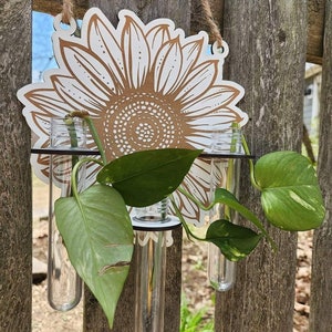 Op de afbeelding: Een houten zonnebloem wanddecoratie met drie heldere glazen reageerbuizen om kleine planten in te houden. De zonnebloem is geschilderd in bruin en wit, en de reageerbuizen zijn bevestigd aan de zonnebloem met zwarte metalen ringen.