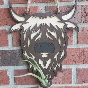 Op de afbeelding: Een houten uitsnijding van een hooglandkoeienkop, geschilderd in bruin en wit. De uitsnijding hangt aan een bakstenen muur met een kleine luchtplant in de mond van de koe.