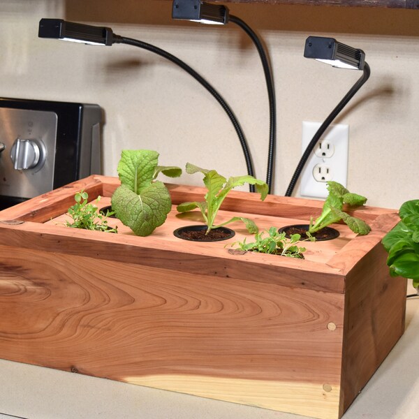 Zen Garden: Beautiful Red Cedar Indoor Countertop Hydroponic Box. Perfect For Beginners!