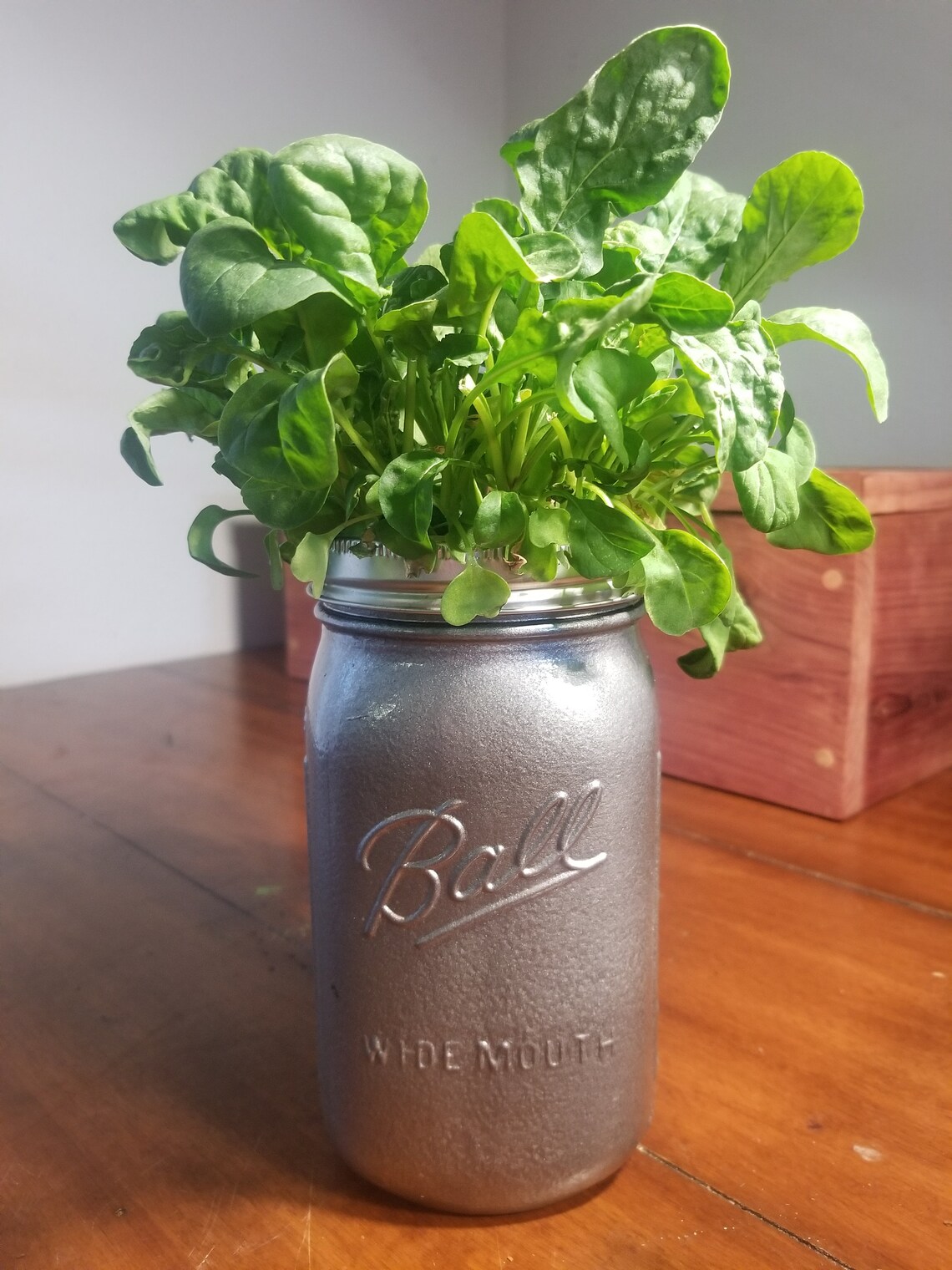 DIY Hydroponic Mason Jar Kit Etsy