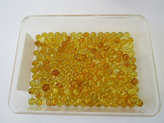 10 Beads Baltic Amber 6mm Round Drilled Cognac Alluregem E1276