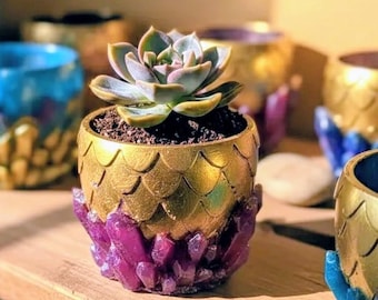 Gold Dragon Egg Sukkulenten Pflanzer - Lila Kristall Basis, Organit Wohnkultur