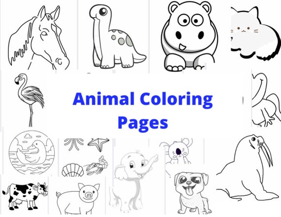 Baby Animals Coloring Book: Kids Coloring Books ages 2-4 (Kids