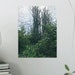 Printable Digital Wall Art Nature Scene Printable PDF Digital Wall Art ...