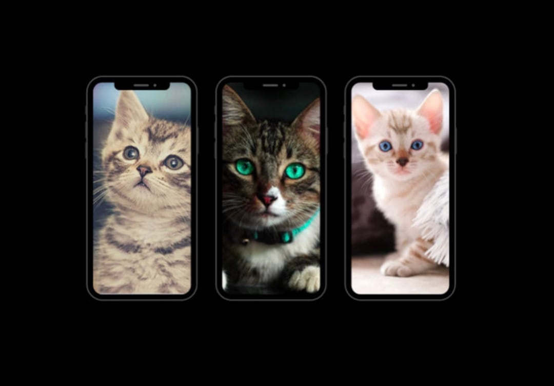Phone Wallpaper Cat Phone Wallpaper Cute iPhone Wallpaper Cat - Etsy