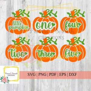Verjaardagspompoen SVG | 6 Pumpkin Cut-bestanden voor Cricut & Silhouette | Vier herfstverjaardagen met deze prachtige wijngaardpompoen