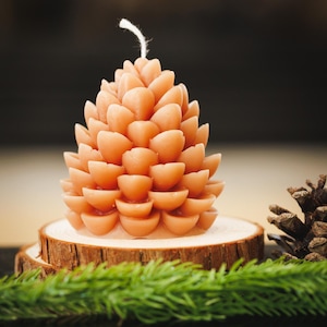 Pine cone Candle |Fall Decoration |Gift | Fall Decor| Soy Candle | Gift | Pinecone