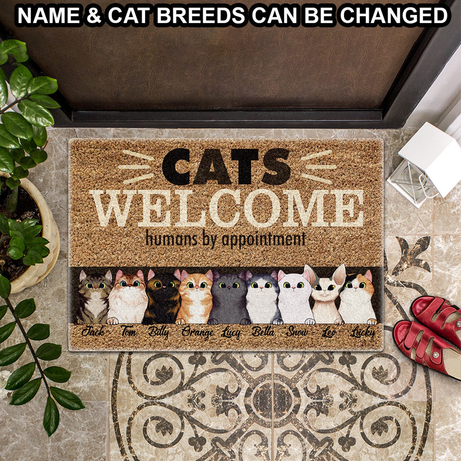 Personalized Cat Doormat Cats Humans By Appointment Etsy