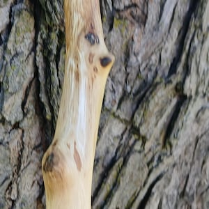 Handcrafted 66-Inch Oak Walking Staff with Leather-Wrapped Handle – Durable Hiking Stick for Outdoor Adventures