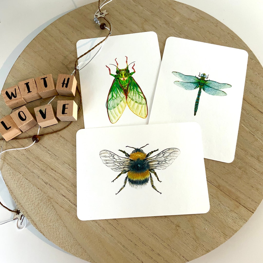 Fly Postcard Card Set Bumblebee, Fly, Dragonfly Set of 3 Postcards Art Cards ...