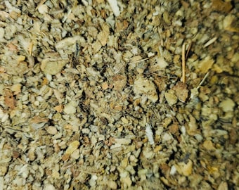 Foglie di verbasco (Verbascum thapsus) - Foglie di verbasco selvatico - Erbe sfuse pure al 100%