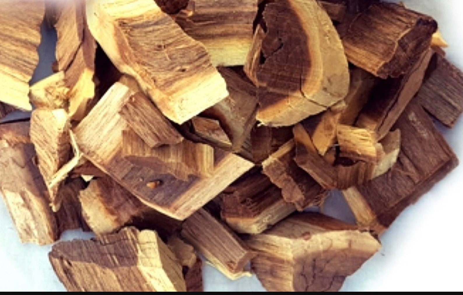 Palo Azul Wildcrafted Palo Azul Herb From Mexico Palo Etsy