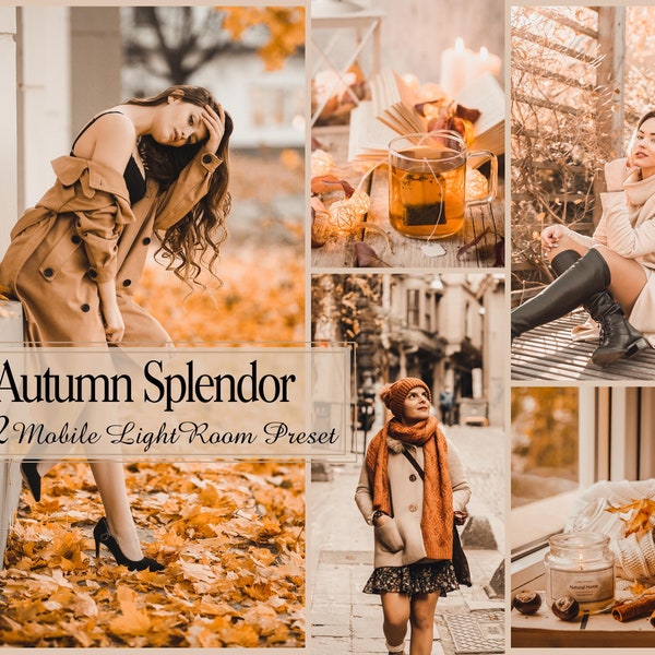 12 Lightroom Mobile Presets, Autumn Splendor Preset, Bright Fall, Outdoor Presets, Orange White Tones Preset For Lightroom Photo Top Filter