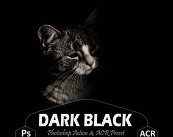 36 Dark Black Photoshop Actions And ACR Presets, Creative Outdoor Ps action, Deep Moody, Blogger lifestyle For, Best Clean Tones