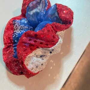 以下が含まれることがあります： 赤、白、青のスパンコールシュシュ。シュシュは外側に赤いスパンコール、内側に青と銀色の生地を使用しています。ヘアアクセサリーです。
