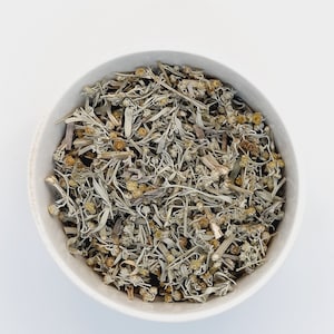 Wermut-Tee Wermut Wermutkraut Wermut Bio getrockneter Kräutertee