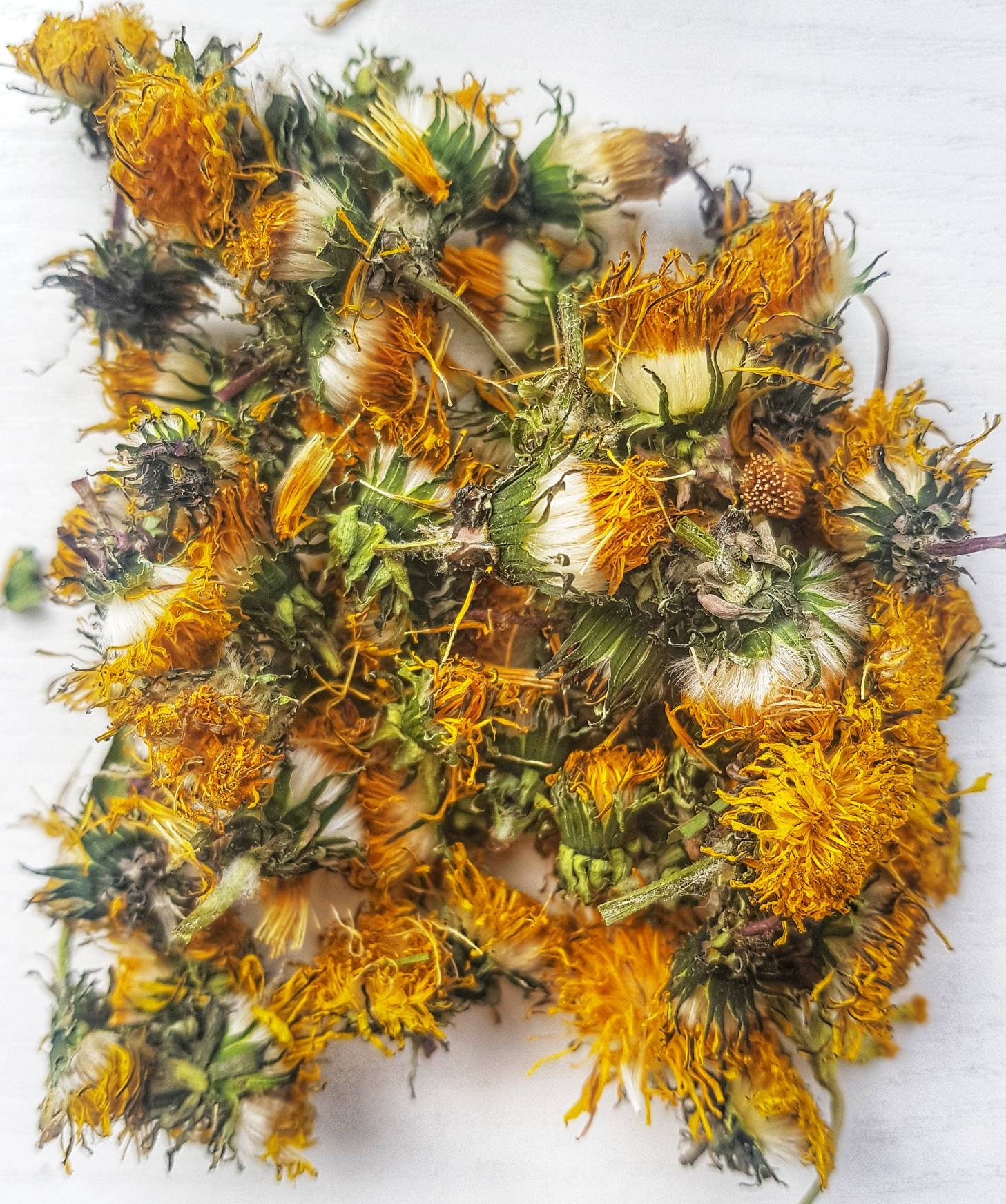 Dandelion dry flowers Dried dandelion Dandelion flowers Dry Etsy