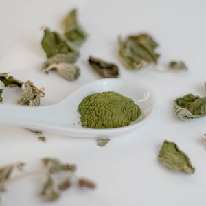 Organic Nettle Leaf Powder – Stinging Nettle (Urtica Dioica) Dried Nettle Powder Herbal Supplement Natural Detox Superfood