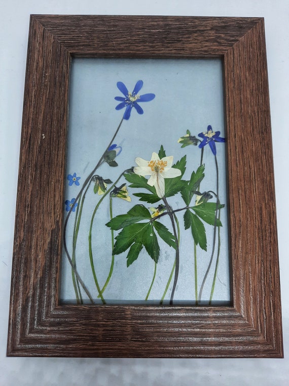 Pressed Flower Frame, Pressed Flower Floating Frame, Flowers