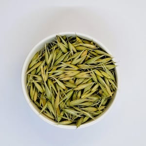 May include: A white bowl filled with dried oat groats, a type of whole grain.