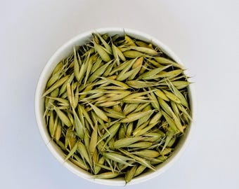 Ekologiskt havrefrönste – Mjölkgrön havre (Avena Sativa) Lugnande örtte, handplockat